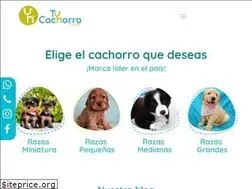 Sites similar to tucachorrotienda.com