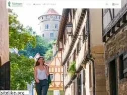 Sites similar to tuebingen-info.de