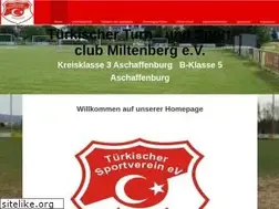 Sites similar to tuerkfvmiltenberg.de