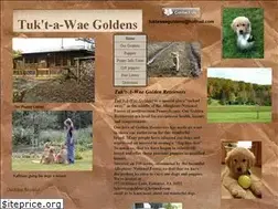 Sites similar to tuktawaegoldens.com