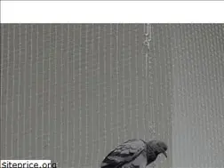 Sites similar to tulasisafetynets.com