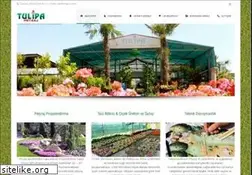 Sites similar to tulipa.com.tr