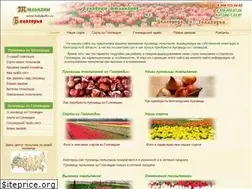 Sites similar to tulipbulbs.ru