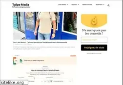 Sites similar to tulipemedia.com