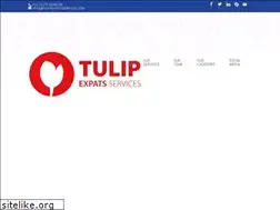 Sites similar to tulipexpatsservices.com