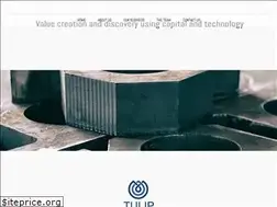 Sites similar to tulipfund.com