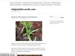Sites similar to tulipsinthewoods.com