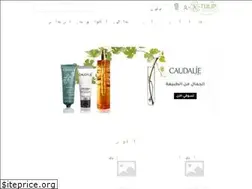 Sites similar to tulipstore.net