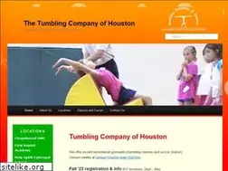 Sites similar to tumbleco.com