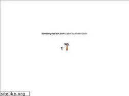 Sites similar to tumdunyaturizm.com