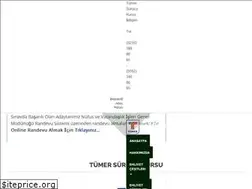 Sites similar to tumersurucukursu.com.tr