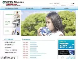 Sites similar to tunematu-gas.jp