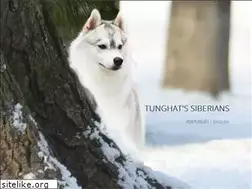 Sites similar to tunghats.com.br