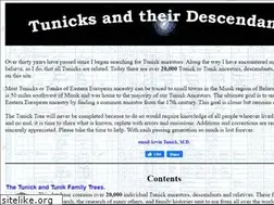Sites similar to tunicks.com