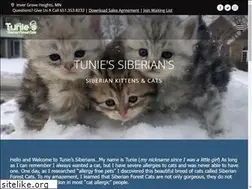 Sites similar to tuniessiberians.com