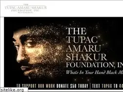 Sites similar to tupacshakurfoundation.org