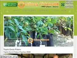 Sites similar to tuplucevizfidani.com