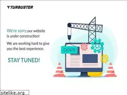 Sites similar to turbuster.com