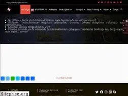Sites similar to turgaytufan.com