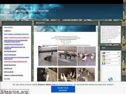 Sites similar to turgutluguvercindernegi.tr.gg