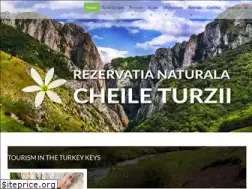 Sites similar to turism-cheile-turzii.ro