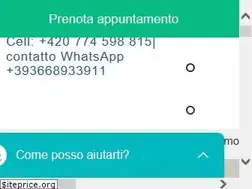 Sites similar to turismodentalepraga.com