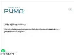 Sites similar to turismopuma.com