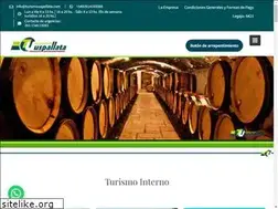 Sites similar to turismouspallata.com
