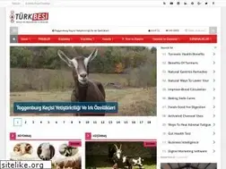 Sites similar to turkbesi.com