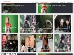 Sites similar to turkceilanlar.com