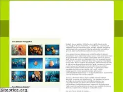 Sites similar to turkdiscus.com