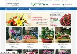 Sites similar to turkercicek.com