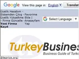 Sites similar to turkeybusiness.com