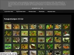 Sites similar to turkeybutterflies.blogspot.com