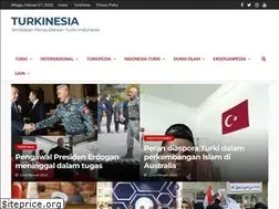 Sites similar to turkinesia.net