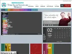 Sites similar to turkislamsanatlari.istanbul
