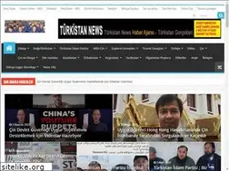 Sites similar to turkistannews.com
