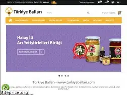 Sites similar to turkiyeballari.com