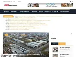 Sites similar to turkiyebasarihikayeleri.com