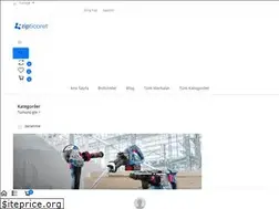 Sites similar to turkiyebaski.com