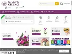 Sites similar to turkiyedecicekci.com