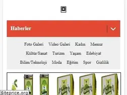 Sites similar to turkiyegunlugu.net