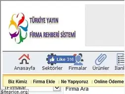 Sites similar to turkiyeyayin.com