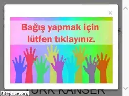Sites similar to turkkanser.org.tr