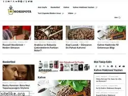 Sites similar to turknba.com