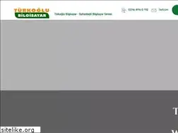 Sites similar to turkoglubilgisayar.com
