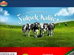 Sites similar to turkova.com.tr