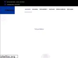 Sites similar to turksanmakina.com