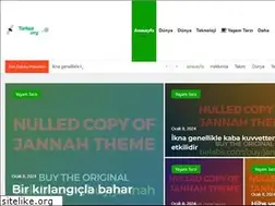 Sites similar to turksat.org