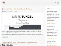 Sites similar to turkser.org.tr